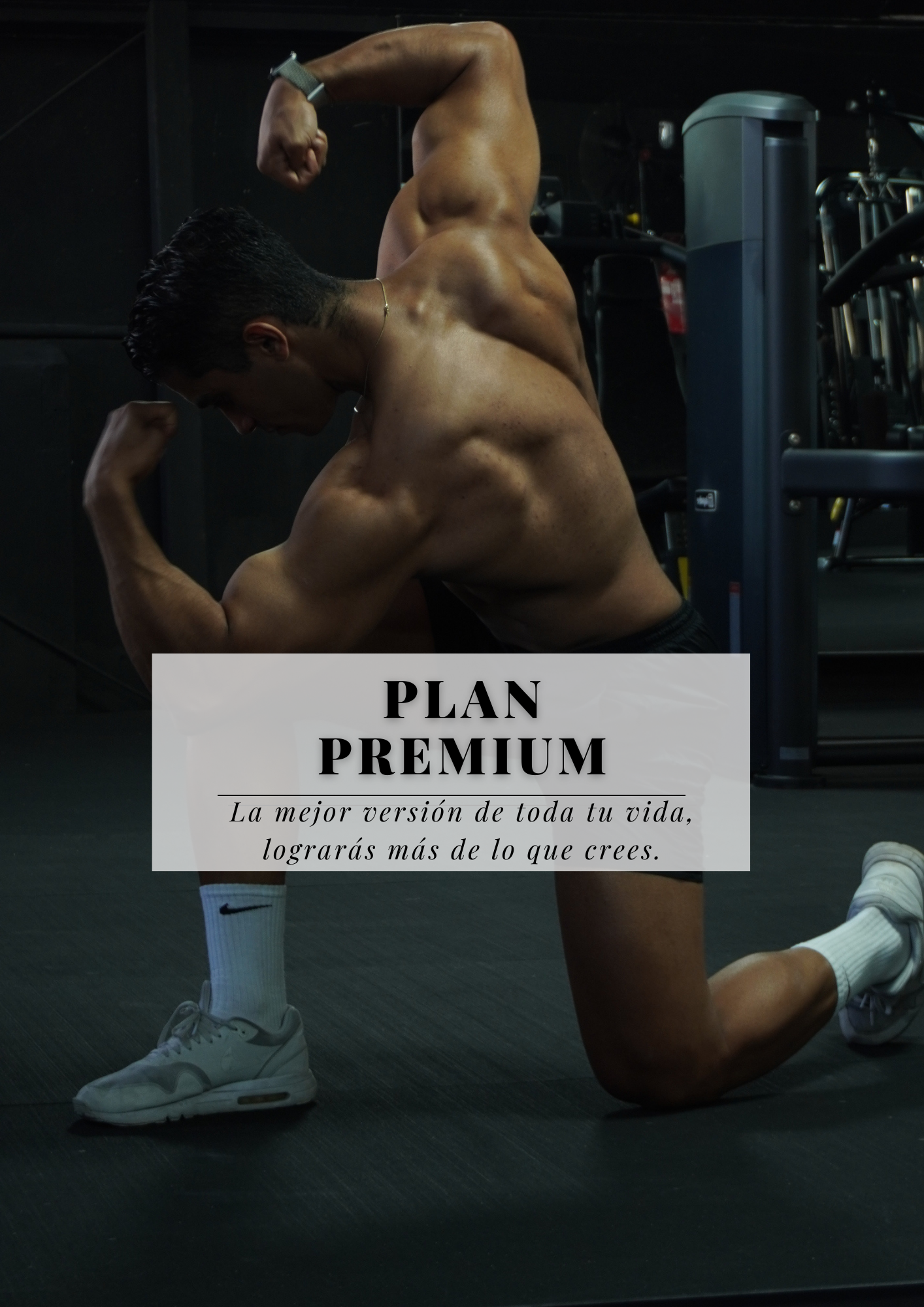 đ„PLAN PREMIUNđ„